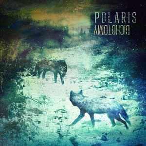 Cover image for Aspirations by Polaris
