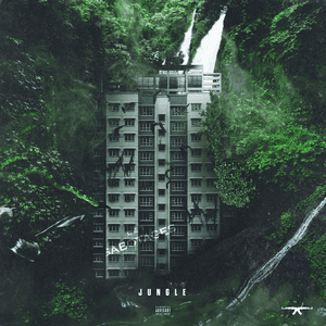 Cover image for JUNGLE by MellemFingaMuzik