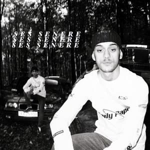 Cover image for Ses Senere by Artigeardit